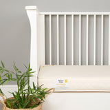 Mother & Baby Organic Gold Chemical Free COT Mattress 60 x 120cm - Little Snoozes